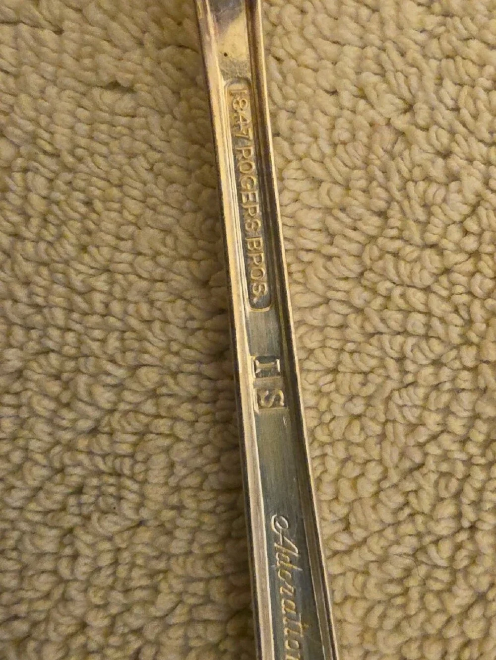 Vintage Rogers Bros Adoration Silver Flatware Cutlery Set - 17 Pieces